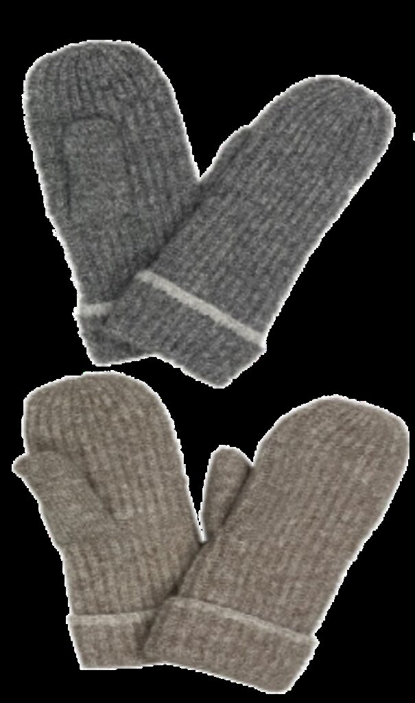 Lapaset